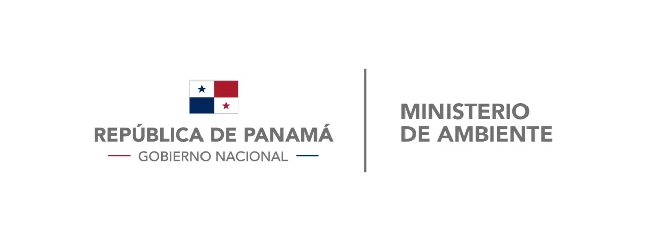 logo y bandera-01 logo y bandera-01