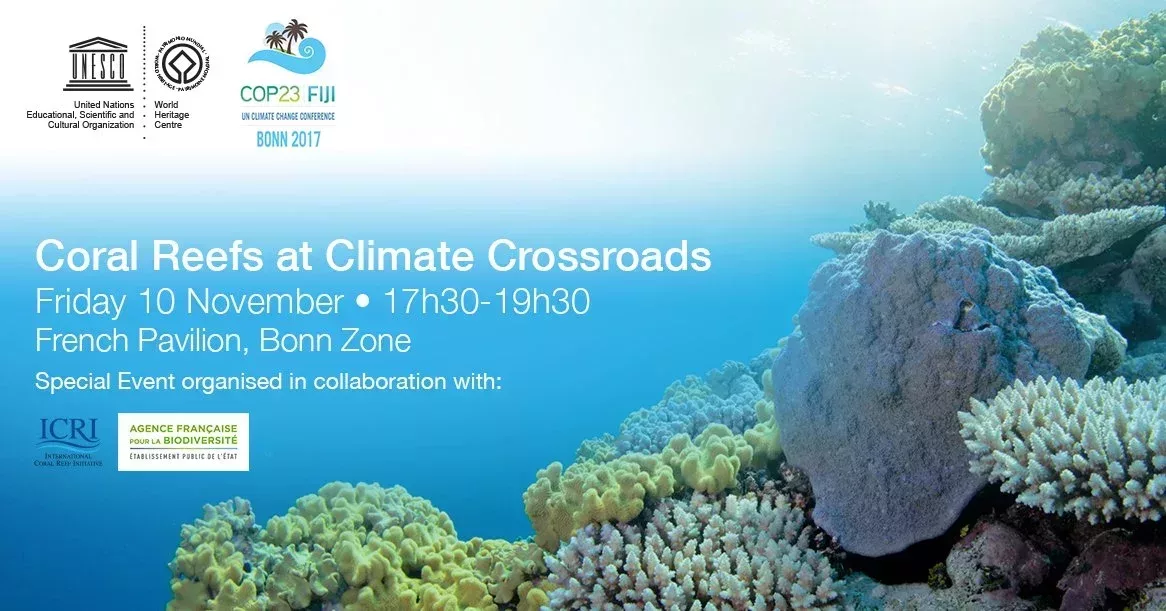 Coral Reefs at the Crossroads