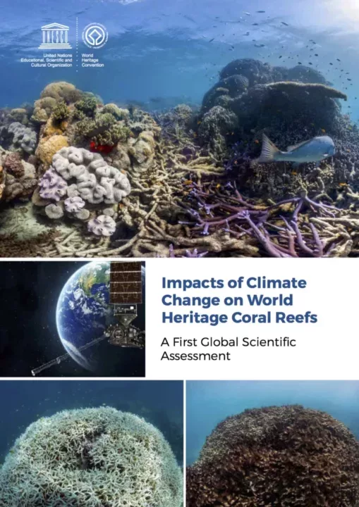 Assessment: World Heritage coral reefs likely to disappear by 2100 unless  CO2 emissions drastically reduce