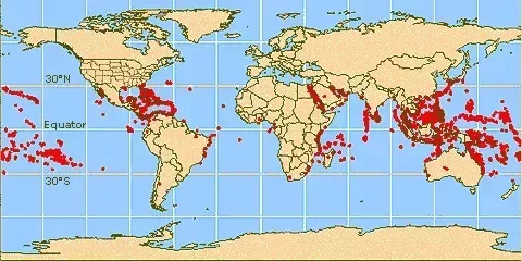 Map of Where Coral Reefs Are