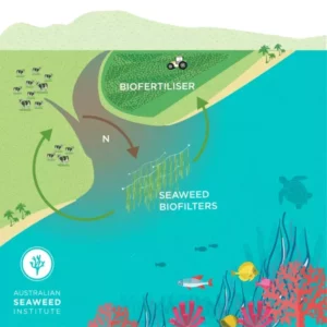 Biofilter Infographic ©Australian Seaweed Institute