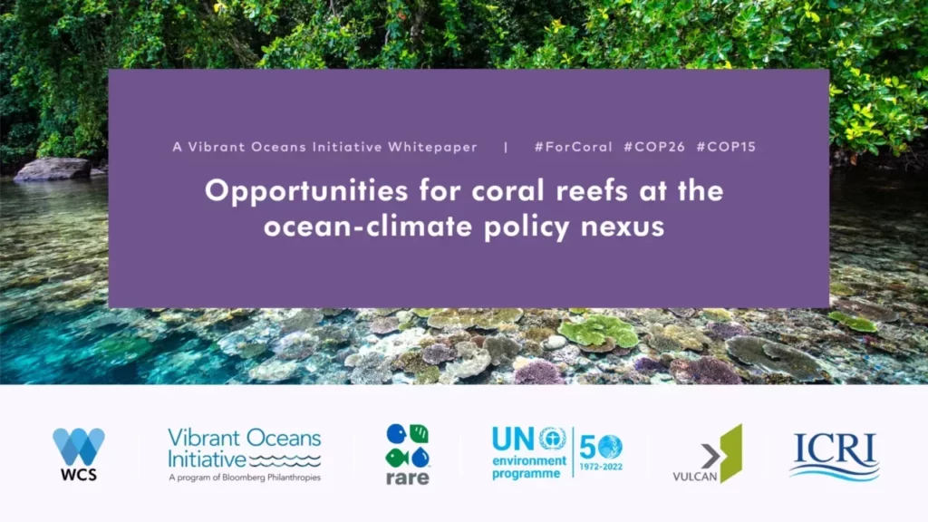 Opportunities for coral reefs at the ocean-climate policy nexus