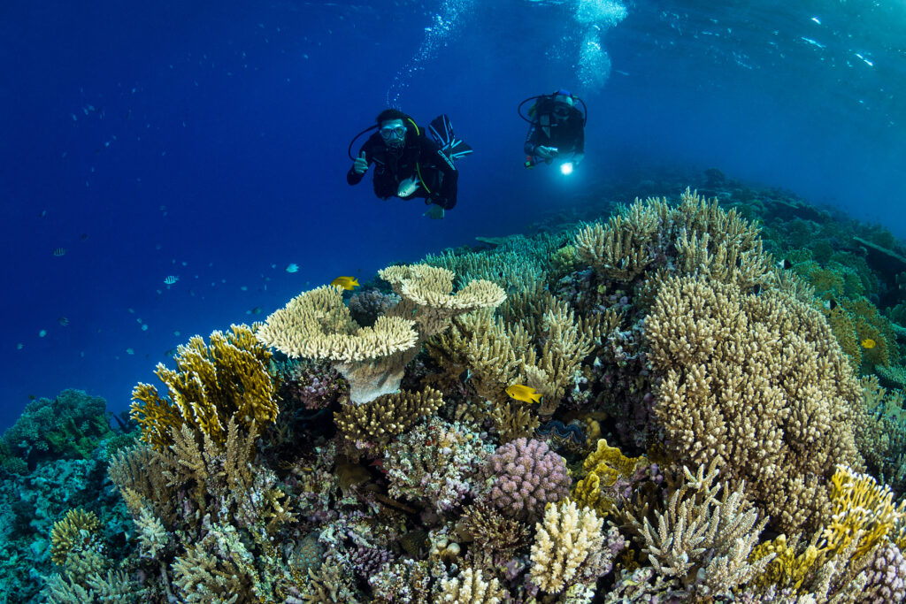 Fabrice Dudenhofer | Ocean Image Bank