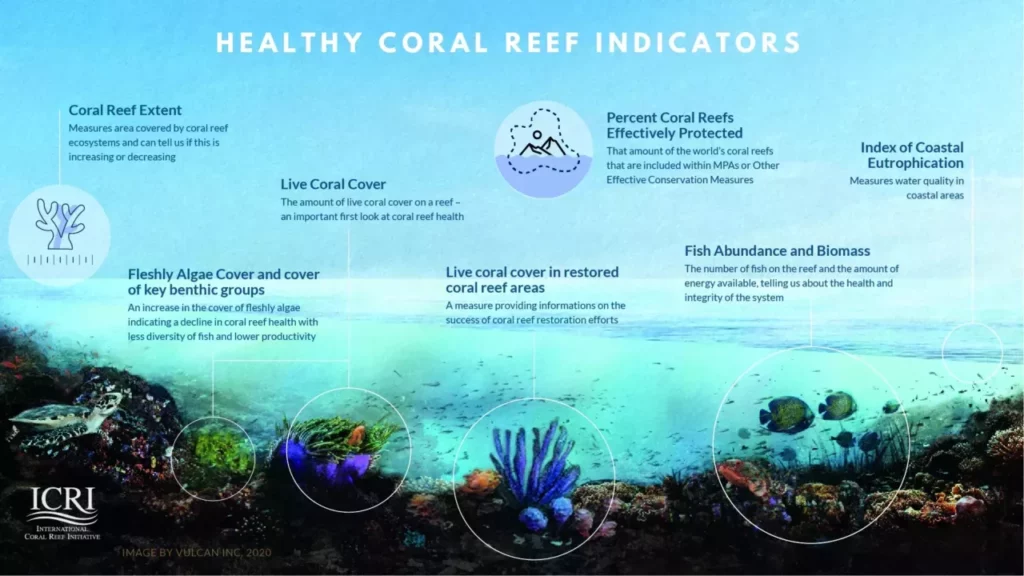 We Can Save Earth's Coral Reefs